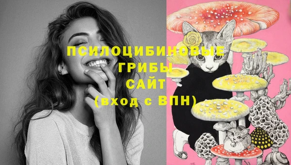 ешки Кинешма