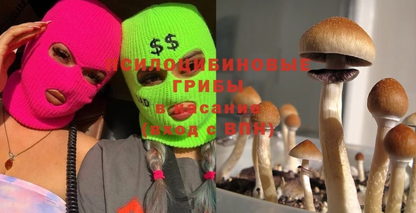твердый Киреевск
