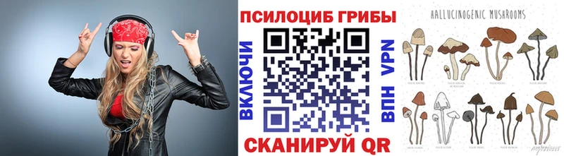Галлюциногенные грибы Magic Shrooms  Купить закладки  Заинск 